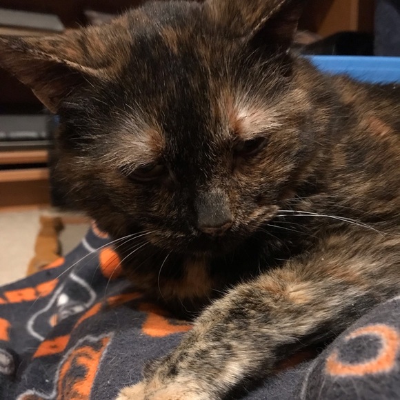 THANK YOU FOR SHOPPING ON POSHMARK! - Picture 11 of 13